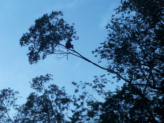 thumb_bukit_lewang_to_UK_443.jpg