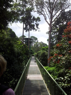 thumb_bukit_lewang_to_UK_450.jpg