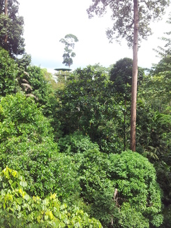 thumb_bukit_lewang_to_UK_452.jpg