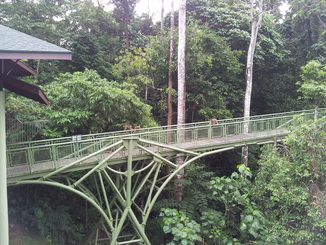 thumb_bukit_lewang_to_UK_460.jpg