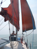 thumb_2011-Camera_010.jpg