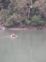 thumb_2011-Camera_015.jpg