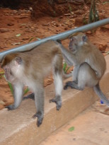 thumb_2011-Camera_021.jpg