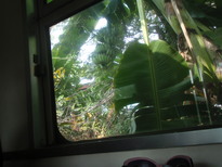 thumb_2011-Camera_023.jpg