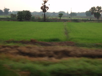 thumb_2011-Camera_036.jpg