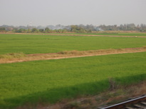 thumb_2011-Camera_041.jpg