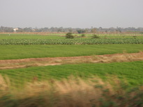 thumb_2011-Camera_042.jpg