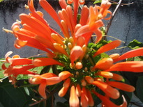 thumb_2011-Camera_046.jpg