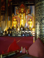 thumb_2011-Camera_056.jpg