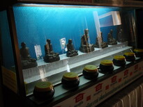thumb_2011-Camera_058.jpg