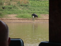thumb_2011-Camera_060.jpg