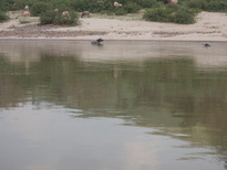 thumb_2011-Camera_066.jpg