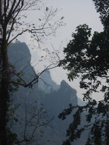 thumb_2011-Camera_085.jpg