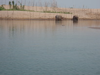 thumb_2011-Camera_088.jpg