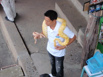 thumb_2011-Camera_230.jpg