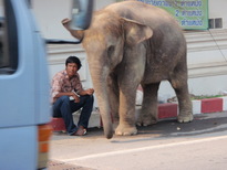 thumb_2011-Camera_231.jpg