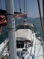 thumb_08022011949.jpg