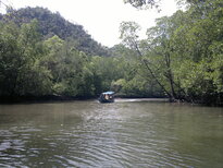 thumb_09022011966.jpg