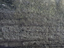 thumb_09022011968.jpg