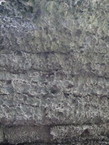 thumb_09022011969.jpg