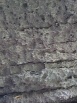 thumb_09022011972.jpg