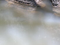 thumb_09022011973.jpg