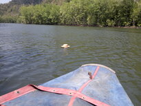 thumb_09022011978.jpg