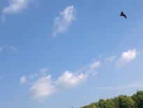 thumb_09022011981.jpg