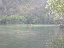 thumb_09022011984.jpg