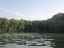 thumb_09022011986.jpg
