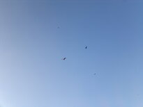 thumb_09022011990.jpg