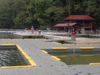 thumb_120220111004.jpg