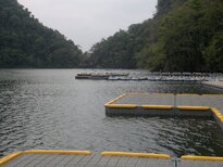 thumb_120220111005.jpg