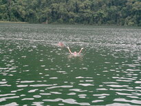 thumb_120220111008.jpg