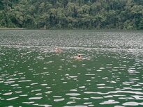thumb_120220111009.jpg