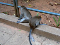 thumb_120220111011.jpg