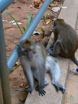 thumb_120220111012.jpg