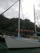 thumb_120220111017.jpg