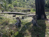 thumb_140220111031.jpg