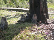 thumb_140220111032.jpg