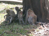 thumb_140220111033.jpg
