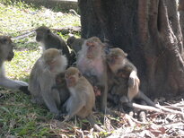 thumb_140220111034.jpg