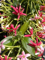 thumb_140220111035.jpg