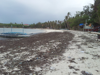 thumb_bukit_lewang_to_UK_489.jpg