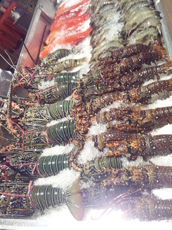 thumb_bukit_lewang_to_UK_490.jpg