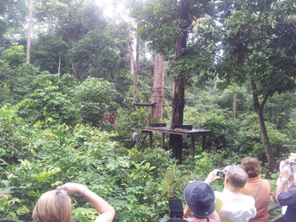 thumb_2012-01-11_10.23.57.jpg
