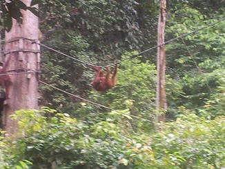 thumb_2012-01-11_14.40.42.jpg