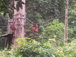 thumb_2012-01-11_14.40.44.jpg