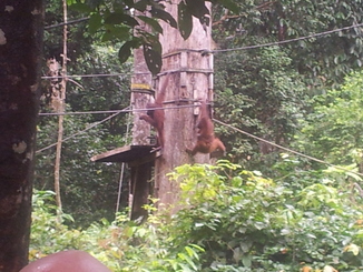 thumb_2012-01-11_14.40.54.jpg