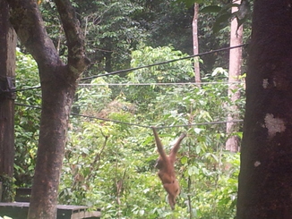 thumb_2012-01-11_14.41.03.jpg